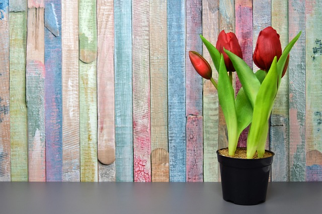 umělé tulipány
